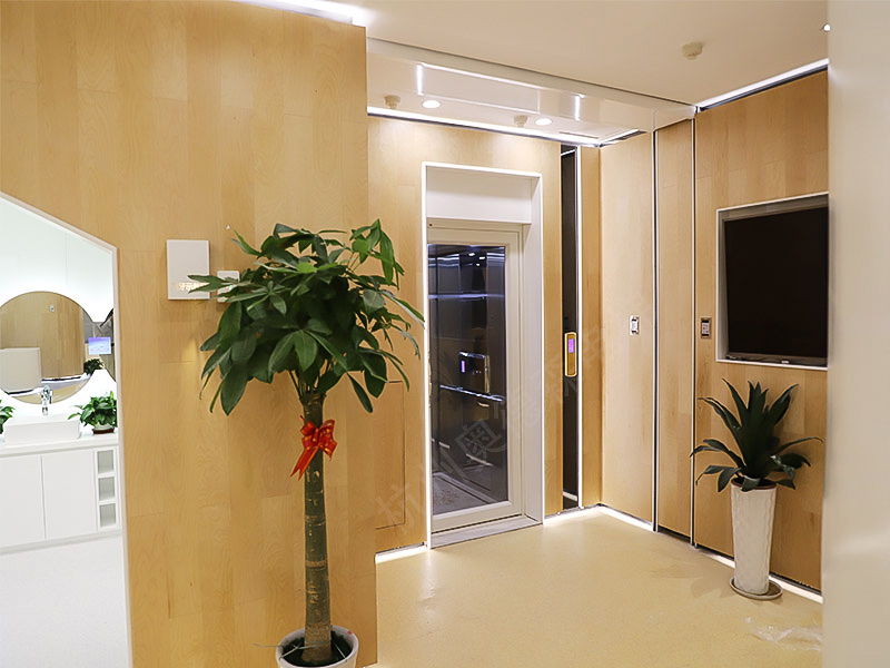 Strong Drive Elevator